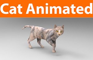 cat animated