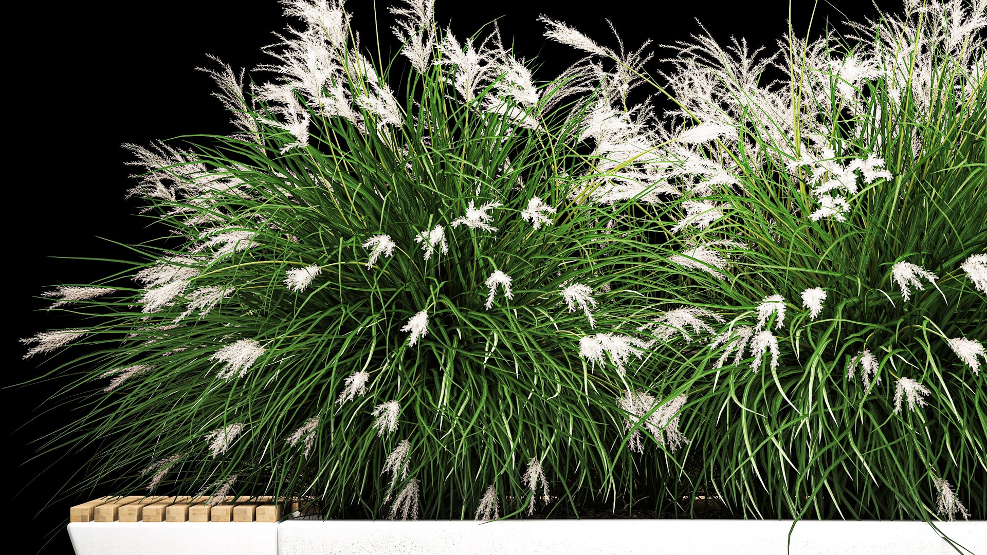 3D Model Flowerbed Bench With Bushes Feather Grass 1136 - TurboSquid ...