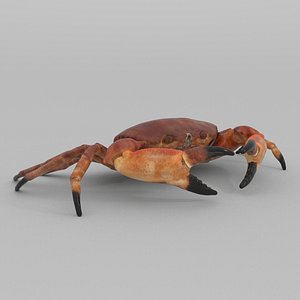 3D model crab vr realtime