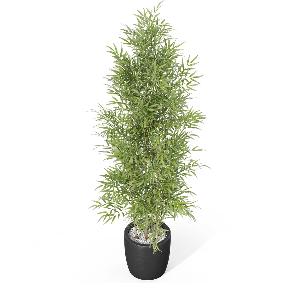 Plants collection 1008 3D model https://p.turbosquid.com/ts-thumb/E1/sQARrt/EB/plant_1008_03/jpg/1697814547/1920x1080/fit_q87/49929f6334526f2e292e112403d52f854ff0cd45/plant_1008_03.jpg