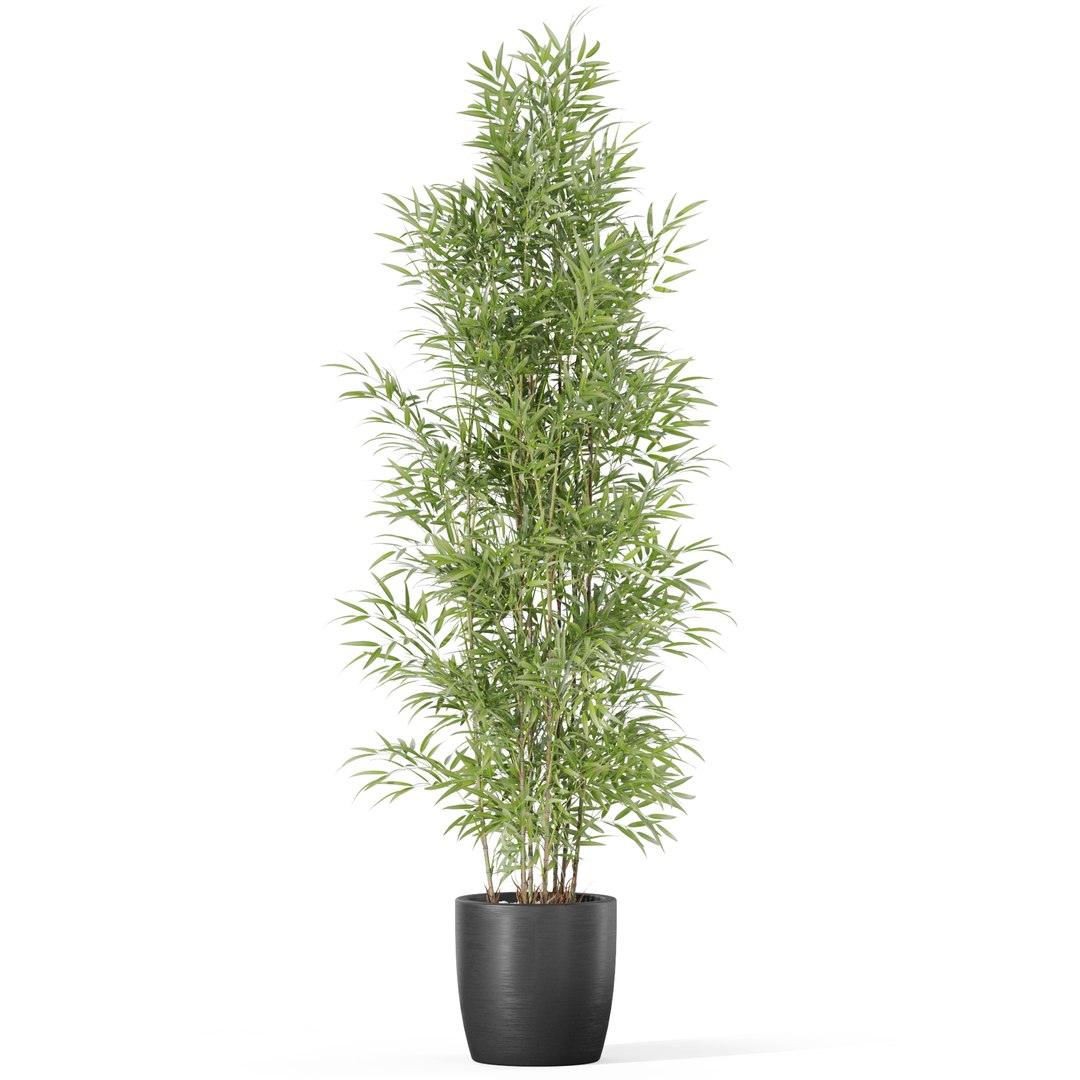 Plants collection 1008 3D model https://p.turbosquid.com/ts-thumb/E1/sQARrt/MK/plant_1008_01/jpg/1697814546/1920x1080/fit_q87/da666d067c91b655ea8ccafd19588a1cf512c0a5/plant_1008_01.jpg
