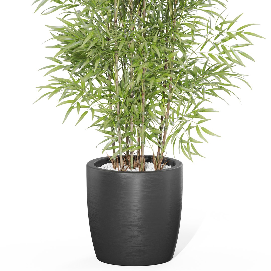 Plants collection 1008 3D model https://p.turbosquid.com/ts-thumb/E1/sQARrt/OP/plant_1008_02/jpg/1697814547/1920x1080/fit_q87/0323725cfc614f81b55f4d65aa16f5978868de92/plant_1008_02.jpg