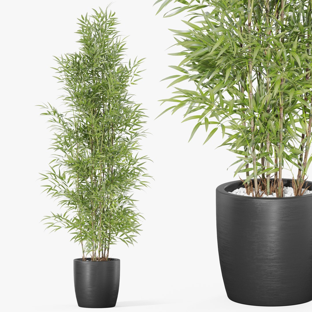 Plants collection 1008 3D model https://p.turbosquid.com/ts-thumb/E1/sQARrt/iH/plant_1008_247/jpg/1697814545/1920x1080/fit_q87/fd67acfef85172e5b5712a3fd63e5b069d40a35b/plant_1008_247.jpg