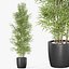 Plants collection 1008