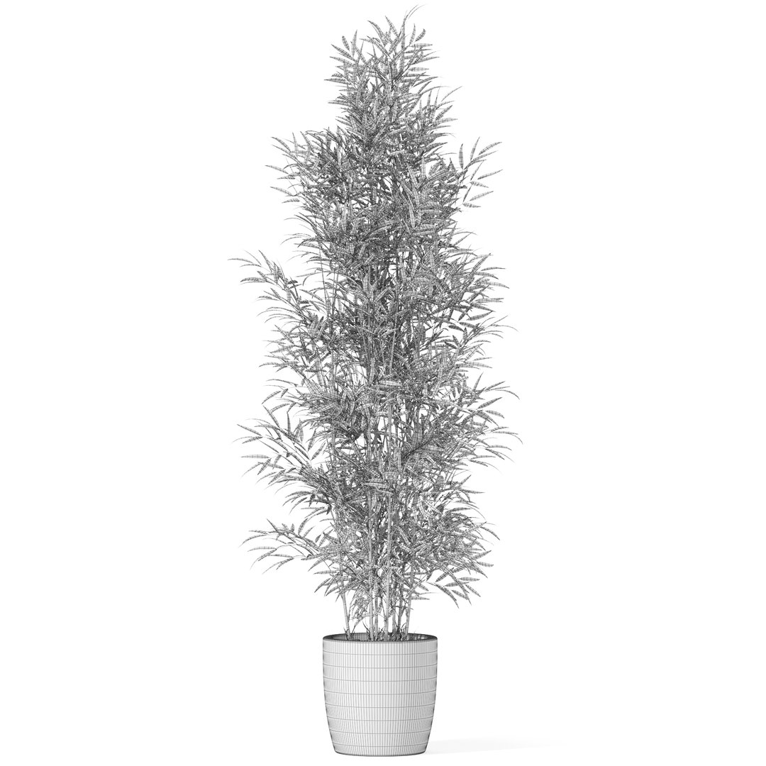 Plants collection 1008 3D model https://p.turbosquid.com/ts-thumb/E1/sQARrt/yb/plant_1008_04/jpg/1697814547/1920x1080/fit_q87/287d575b1e110e177014d1bc0d892ed1b574c674/plant_1008_04.jpg