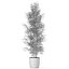 Plants collection 1008