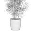 Plants collection 1008