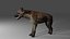 Spotted Hyena Rigged Model