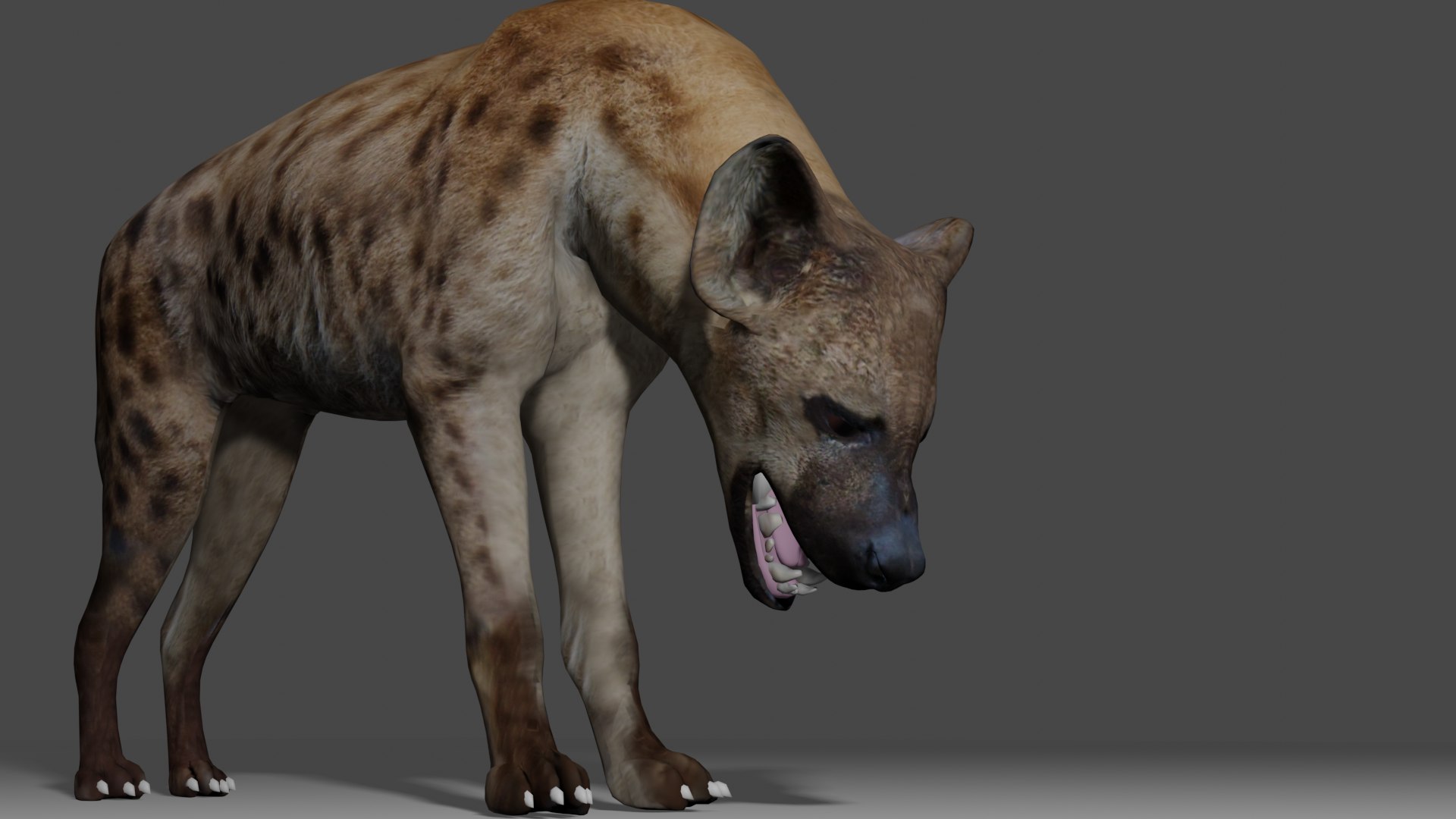 Spotted Hyena Rigged Model 3D model https://p.turbosquid.com/ts-thumb/E2/1OWHuY/IC/hyenarender3/png/1669055300/1920x1080/fit_q87/f2ff96cf12255f2eb1081b9c627eb6e1884b36ff/hyenarender3.jpg