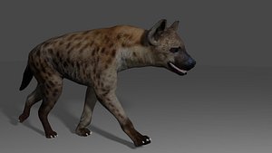 Spotted Hyena Rigged Model 3D model