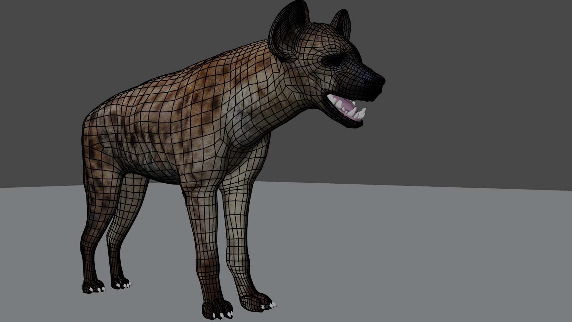 Spotted Hyena Rigged Model 3D model https://p.turbosquid.com/ts-thumb/E2/1OWHuY/ur/wireframe1/png/1669055944/1920x1080/fit_q87/afcd7e96b88eb50117ea50e4b5e77705562db6b0/wireframe1.jpg