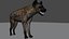 Spotted Hyena Rigged Model