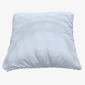 Pillow in a Pillowcase