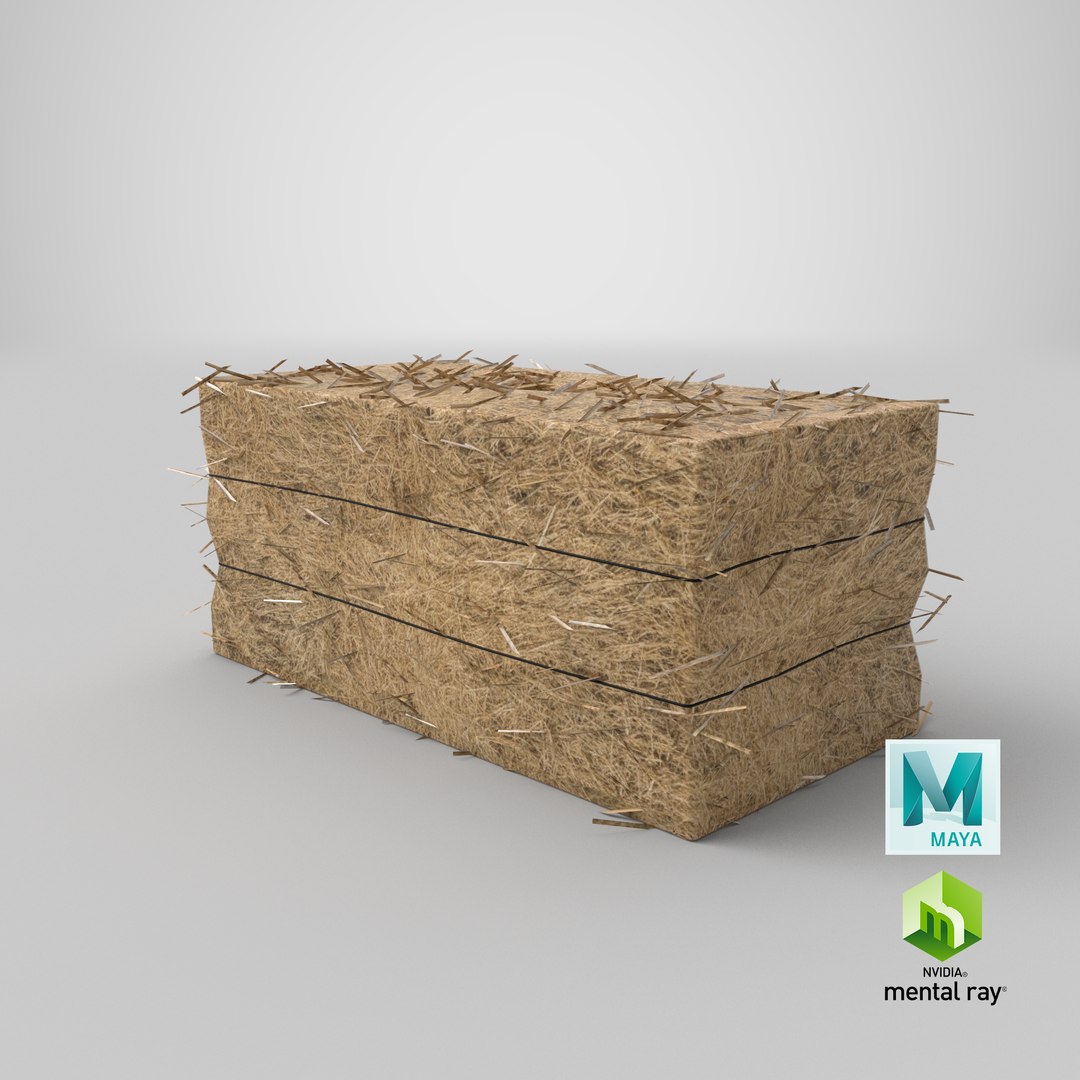 3D farm stack https://p.turbosquid.com/ts-thumb/E2/2nlP1z/2s8Hm8LI/stemcell_maya_mental_ray_render/png/1541066318/1920x1080/fit_q87/6240d3439566ae25e2c1f38d73ae1cbb10ac4924/stemcell_maya_mental_ray_render.jpg