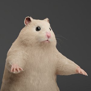 Hamster game model with Particle Hair model