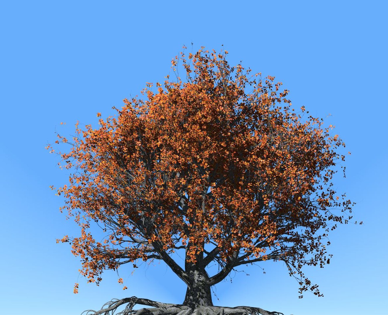 3D beech tree 002 - model https://p.turbosquid.com/ts-thumb/E2/8OCwOC/nKdfbr53/beech_002_preview_002/jpg/1604871041/1920x1080/fit_q87/20db0a0b4e1e3b5aaaf937ff5804e043c0eabd60/beech_002_preview_002.jpg