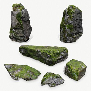 3D forest rocks model