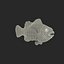 Clownfish Rigged