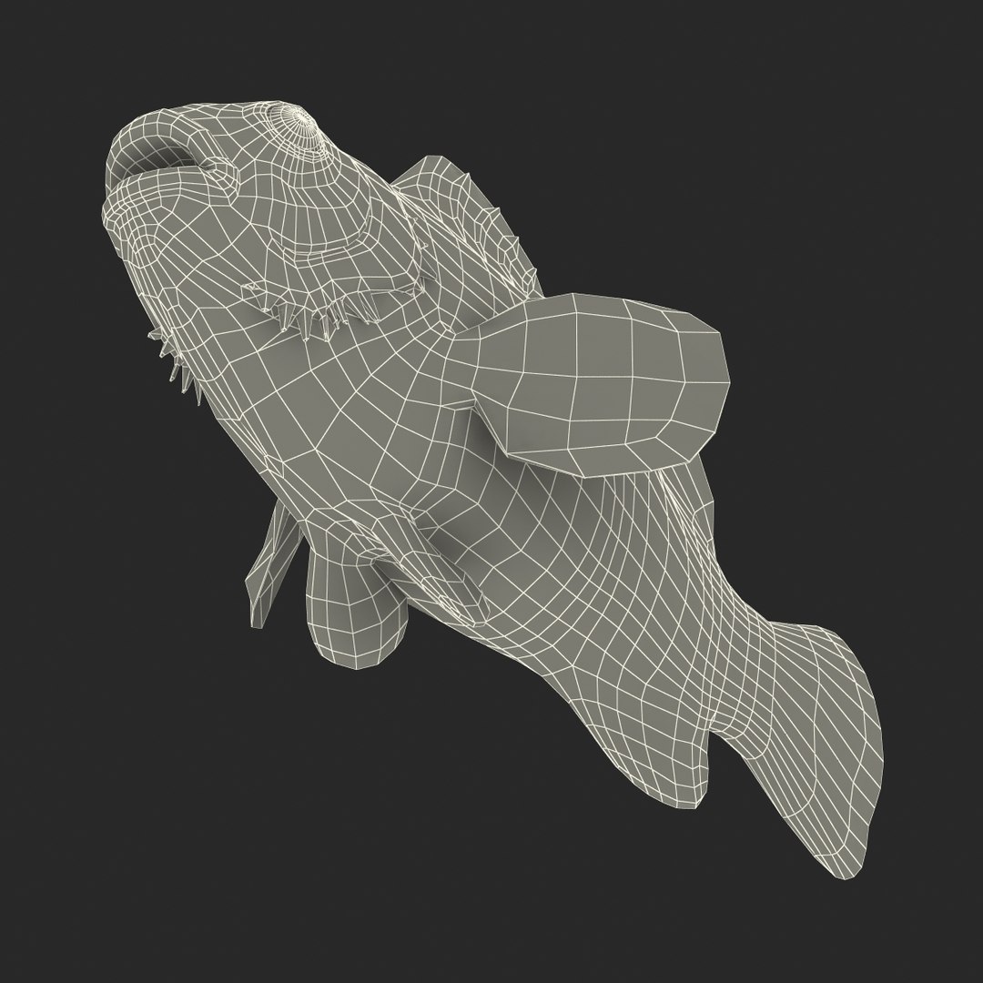3d model clownfish rigged https://p.turbosquid.com/ts-thumb/E2/MQZFpR/3dtFnDwi/clownfish_rigged_025/jpg/1451629972/1920x1080/fit_q87/0cc9914b8dd351137bcf1323904359cf15b6813f/clownfish_rigged_025.jpg