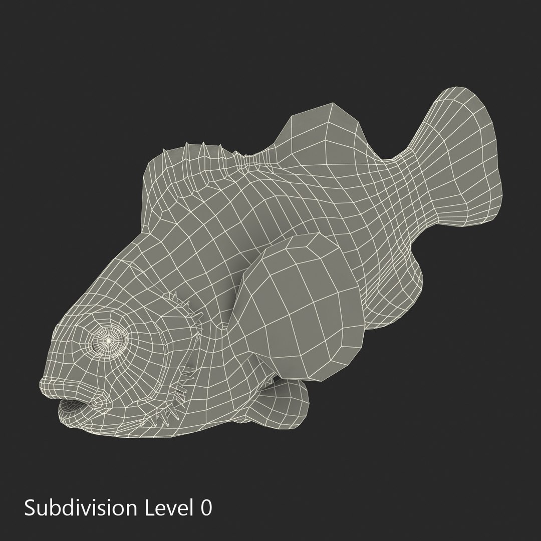 3d model clownfish rigged https://p.turbosquid.com/ts-thumb/E2/MQZFpR/BeF7n311/clownfish_rigged_016/jpg/1451629971/1920x1080/fit_q87/6fd81f5a1028b970253b5dd38d348e6ddee7a7f1/clownfish_rigged_016.jpg