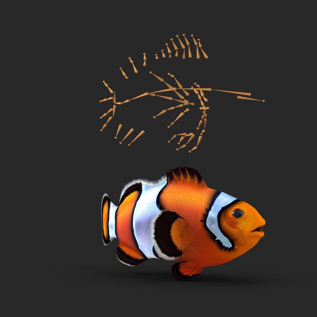 3d model clownfish rigged https://p.turbosquid.com/ts-thumb/E2/MQZFpR/LDUqwhyr/clownfish_rigged_015/jpg/1451629971/1920x1080/fit_q87/f17b1c4b8c313e31053729519d6582cb9ce8a1cb/clownfish_rigged_015.jpg