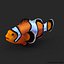 Clownfish Rigged