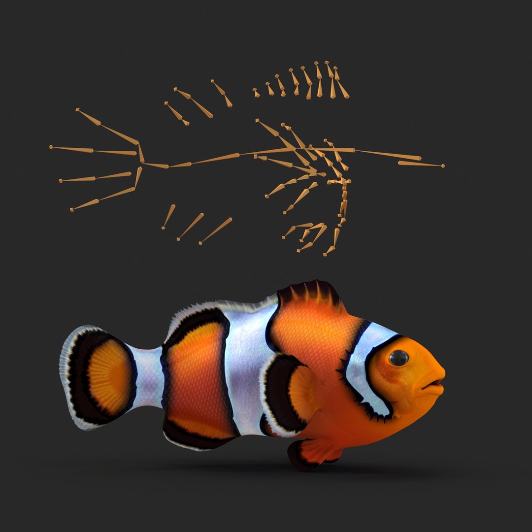 3d model clownfish rigged https://p.turbosquid.com/ts-thumb/E2/MQZFpR/PWEtHUiG/clownfish_rigged_014/jpg/1451629971/1920x1080/fit_q87/f94638d00ddb3efe27d9b766658b2a7a73f8791f/clownfish_rigged_014.jpg