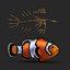 Clownfish Rigged