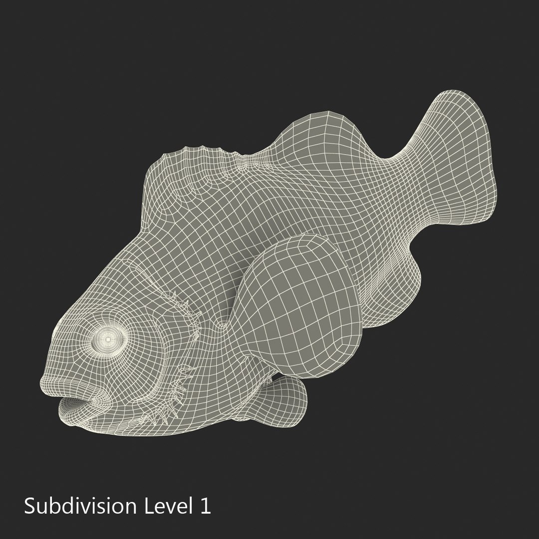3d model clownfish rigged https://p.turbosquid.com/ts-thumb/E2/MQZFpR/ea8OyvAQ/clownfish_rigged_017/jpg/1451629971/1920x1080/fit_q87/bd049dd2afe98f1f449ece4676f8186311786035/clownfish_rigged_017.jpg
