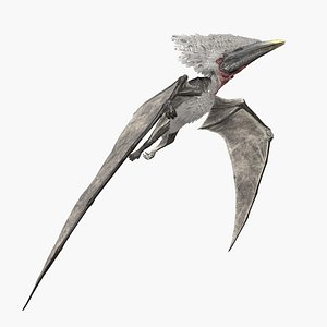 modern pterodactyl