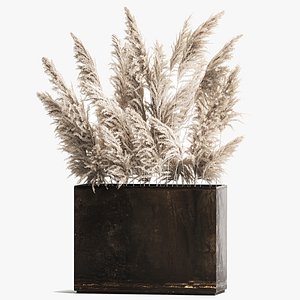 3D Decorative white Pampas Grass In A Rusty Pot model