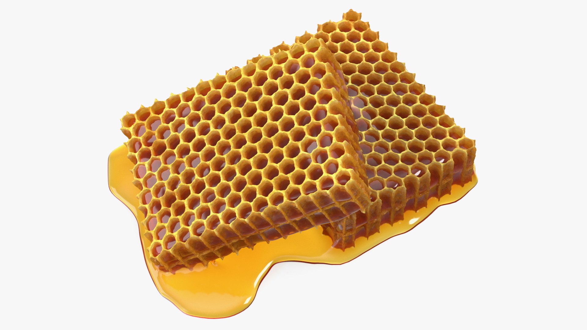 Fresh Cut Honeycombs 3D model preview