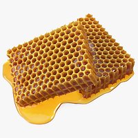 Fresh Cut Honeycombs