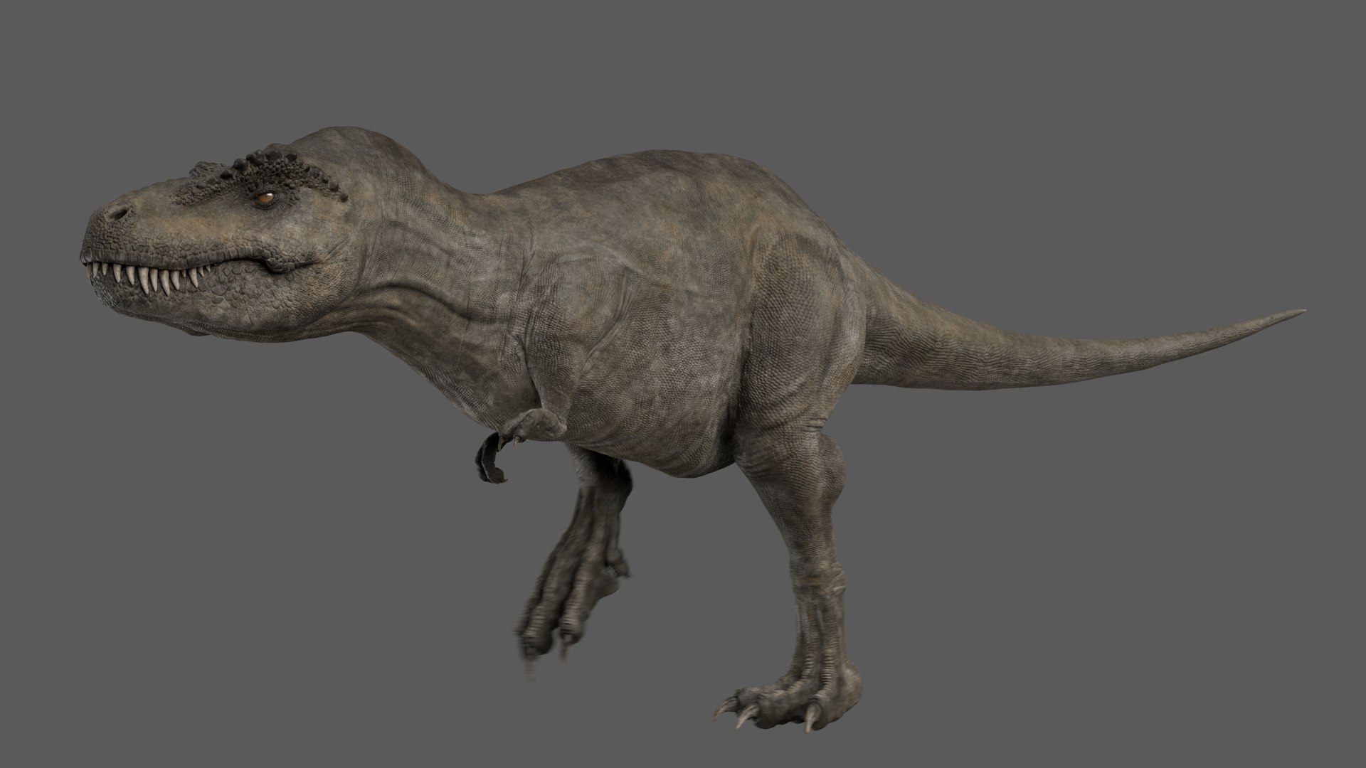 3D tyrannosaurus rex t-rex animation https://p.turbosquid.com/ts-thumb/E2/jVHhrT/jQptqxnX/ra02/jpg/1586439469/1920x1080/fit_q87/3de62382dc4c49454220cd3d0cc51e7ece5592f0/ra02.jpg