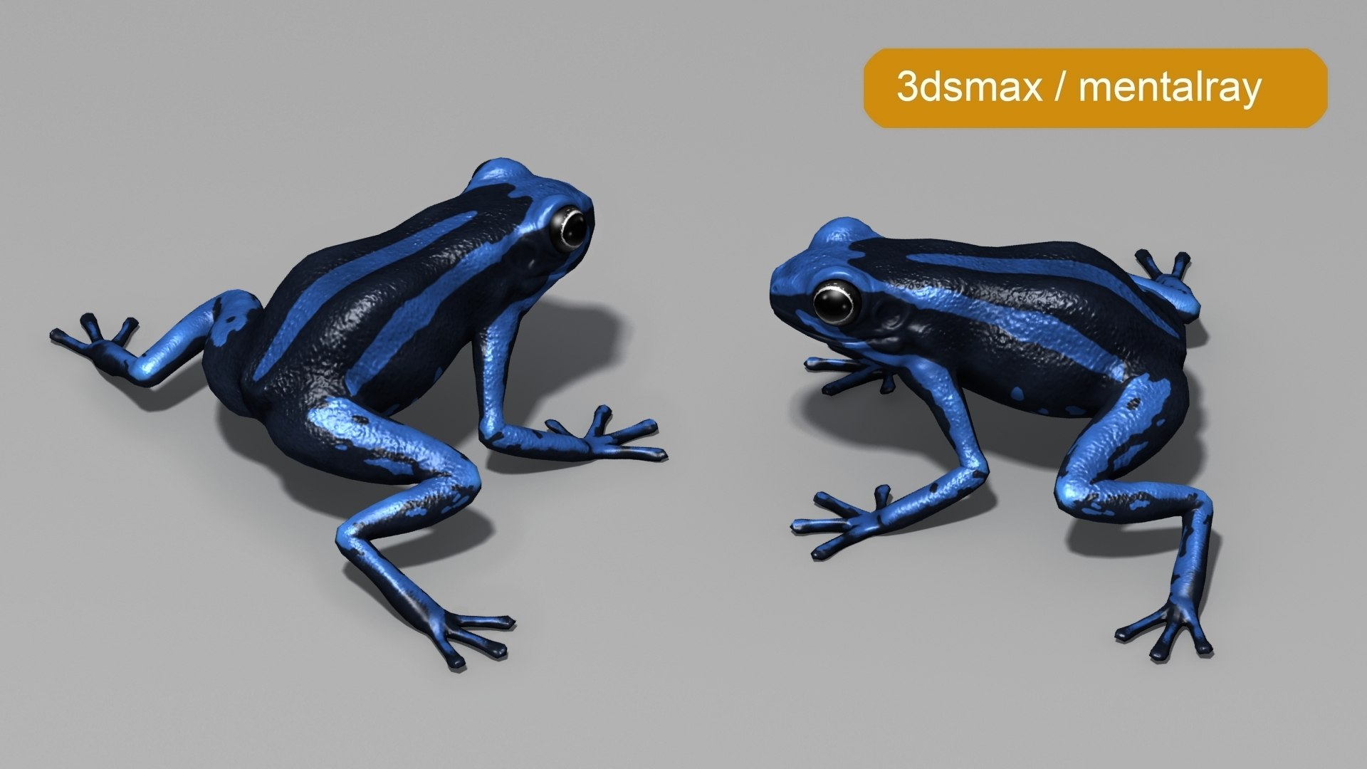 3D Threestriped Poisondart Frog https://p.turbosquid.com/ts-thumb/E2/q43lCY/2q/beauty1/jpg/1716196385/1920x1080/fit_q87/4bfb1ca73f6b4691781b6a57cba4aa34dd829049/beauty1.jpg