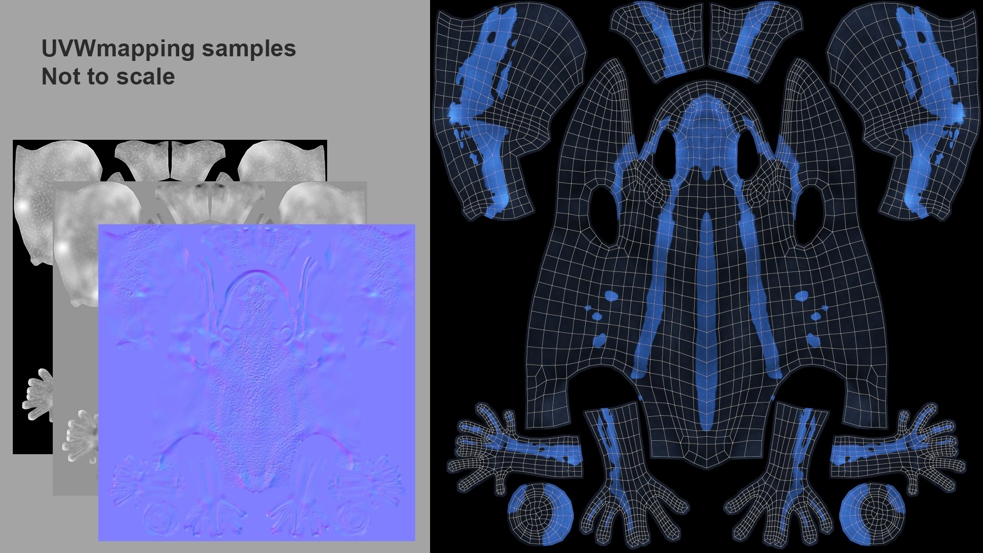 3D Threestriped Poisondart Frog https://p.turbosquid.com/ts-thumb/E2/q43lCY/3P/uvw/jpg/1716196388/1920x1080/fit_q87/7d0433c69fd75b3eb6466e69f791be26becc8ce1/uvw.jpg