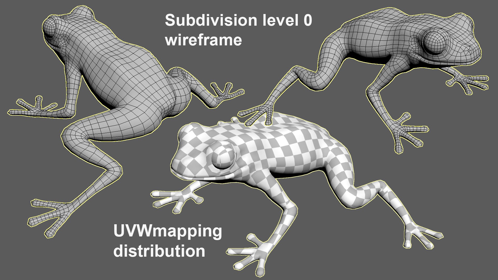 3D Threestriped Poisondart Frog https://p.turbosquid.com/ts-thumb/E2/q43lCY/Fc/wireframe1/jpg/1716196388/1920x1080/fit_q87/e71847eb4df4e9784844da5102394f2436eba788/wireframe1.jpg