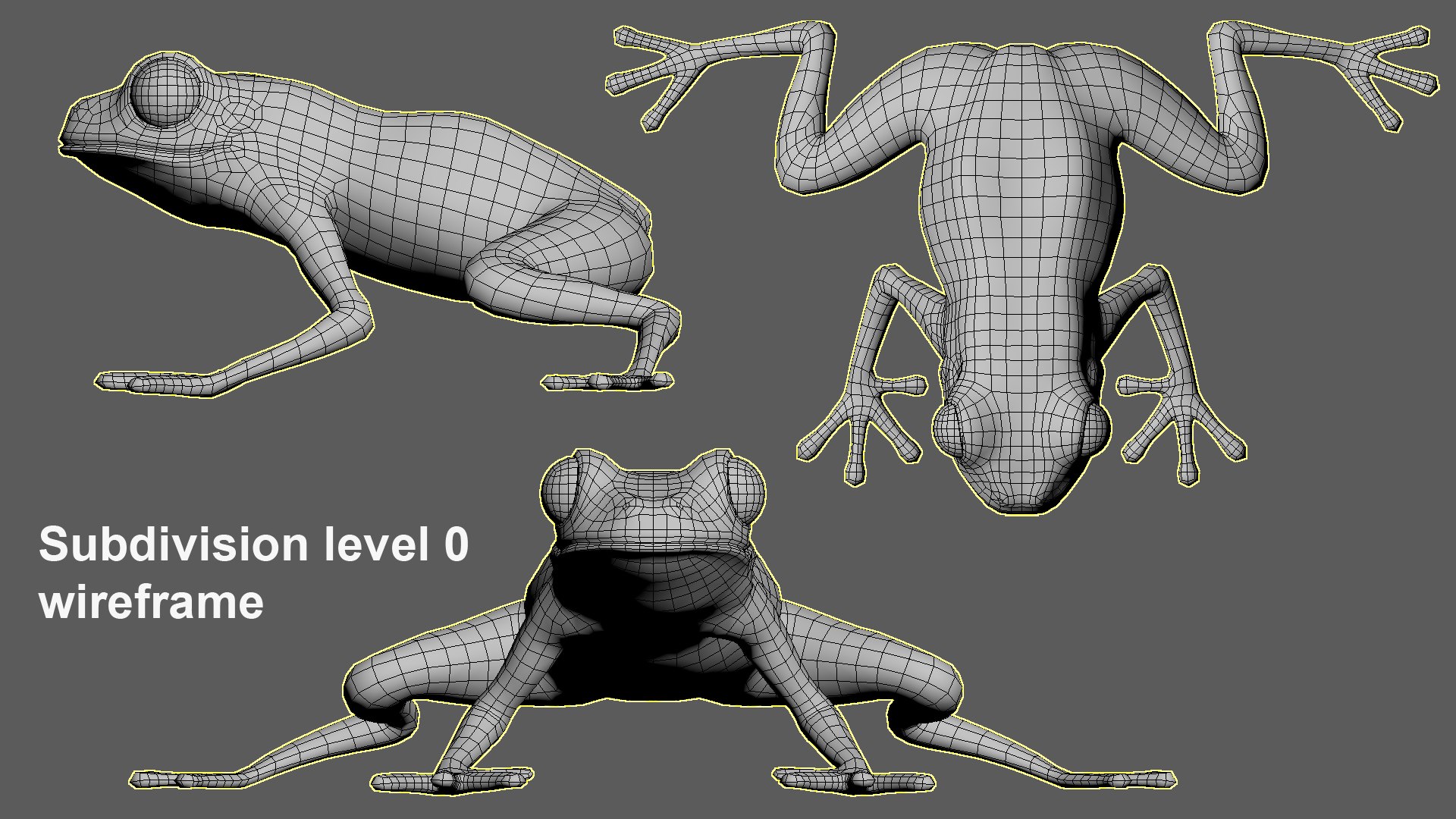 3D Threestriped Poisondart Frog https://p.turbosquid.com/ts-thumb/E2/q43lCY/Ng/wireframe2/jpg/1716196388/1920x1080/fit_q87/b774c81f415acd2e3cc0b248bcc1b9e290118088/wireframe2.jpg