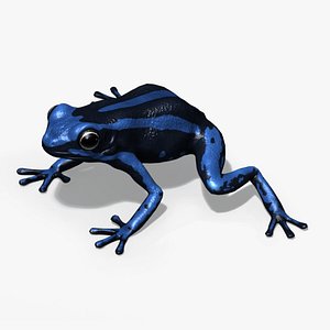 3D Threestriped Poisondart Frog