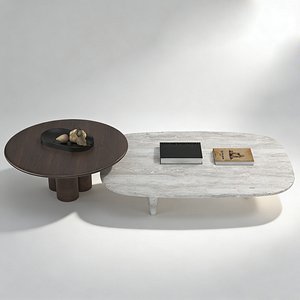 3D Contemporary Coffee Table Dual Set Stone Wood Table model