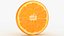 Round Fruit Slice Collection