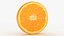 Round Fruit Slice Collection