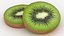 Round Fruit Slice Collection