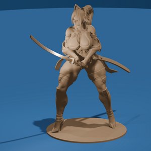 Sexy Curvy Warrior
