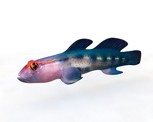 fish aquarium model