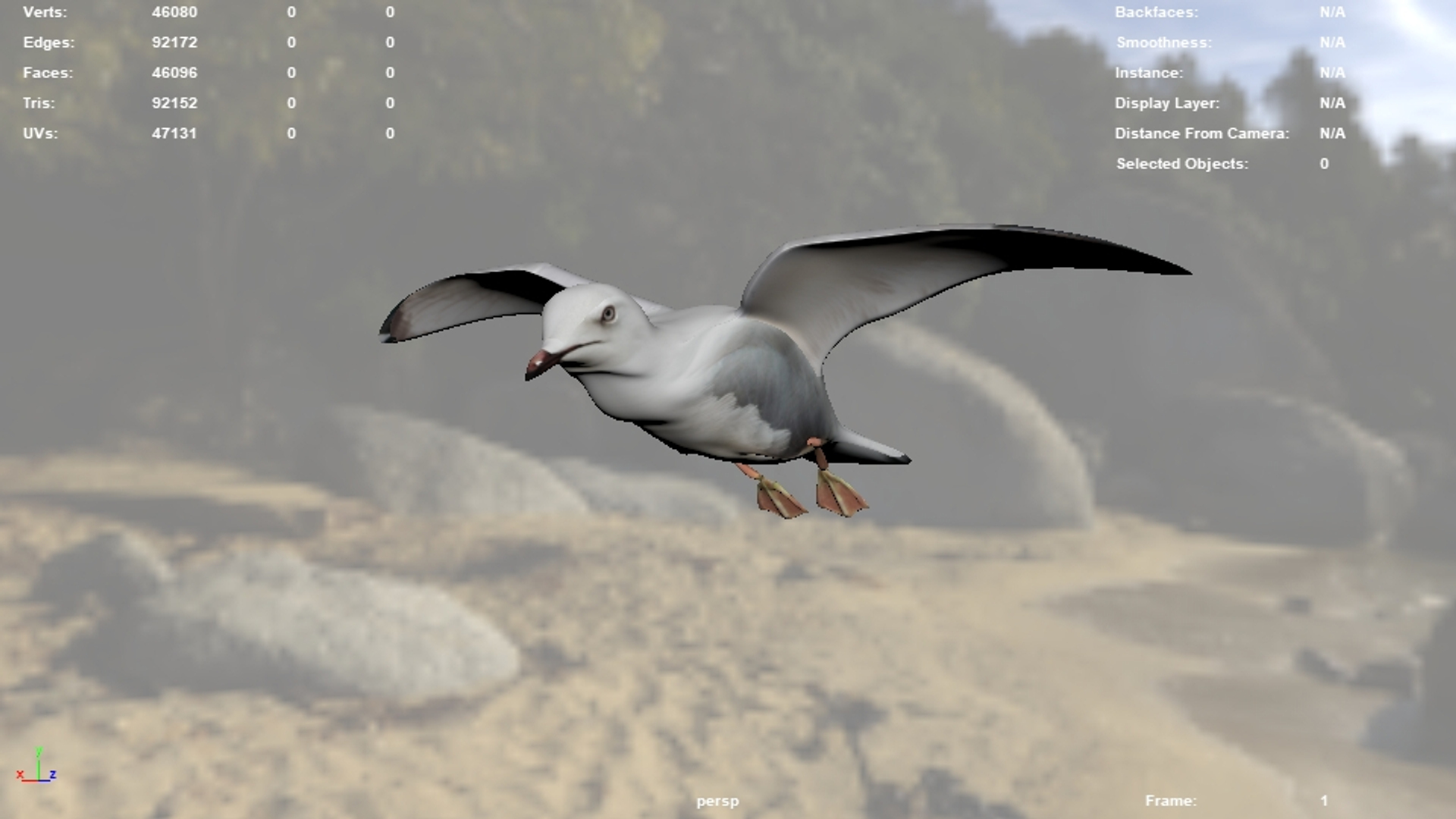 Seagull Animation 3D Model - TurboSquid 1657859