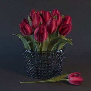 tulips corona plant 3d max
