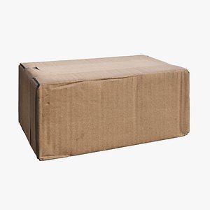 3D Cardboard Box model