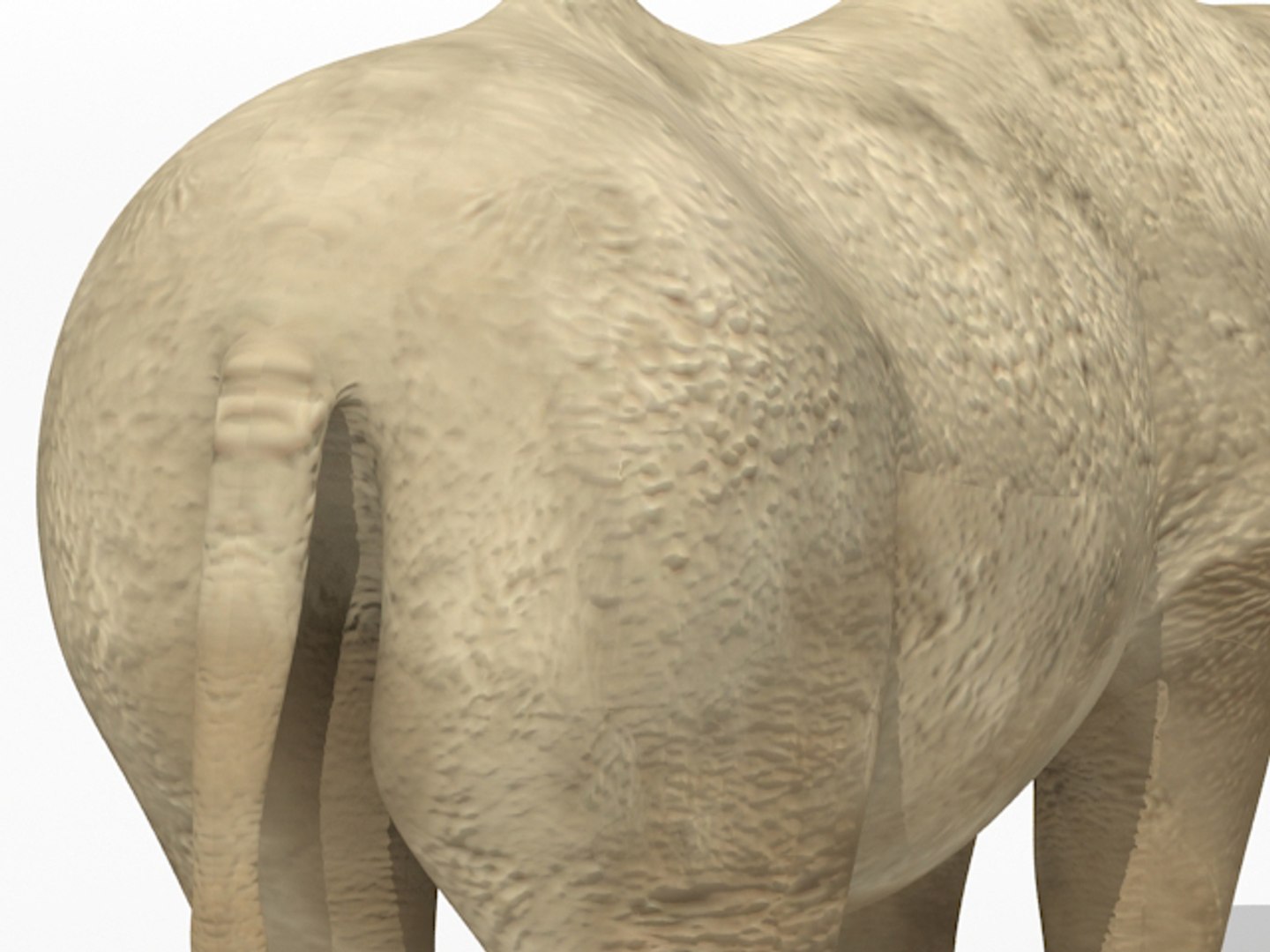 3dsmax rhino rhinoceros https://p.turbosquid.com/ts-thumb/E3/STiNwQ/35PQCTEe/rhino_07/jpg/1302122331/1920x1080/fit_q87/cac0ad1e212c6175702351f5eeb7d70c99ff9fae/rhino_07.jpg