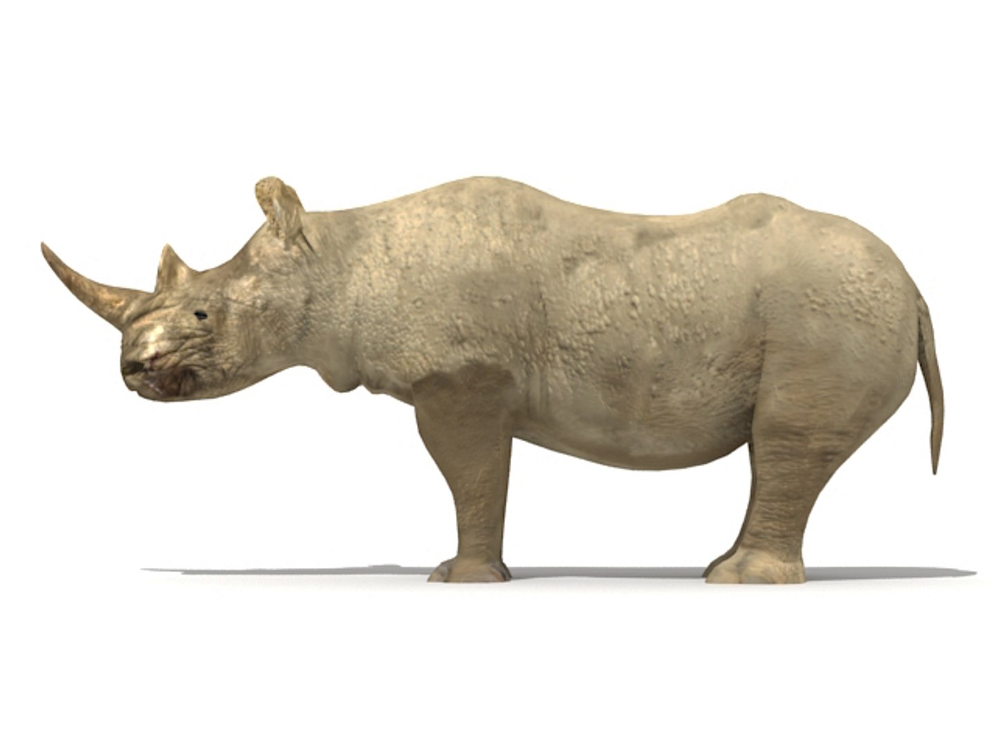 3dsmax rhino rhinoceros https://p.turbosquid.com/ts-thumb/E3/STiNwQ/a1M5Wx0W/rhino_02/jpg/1302122287/1920x1080/fit_q87/2695fe939f0f6e90ff3b68aaf6a20ad9a24dd15c/rhino_02.jpg